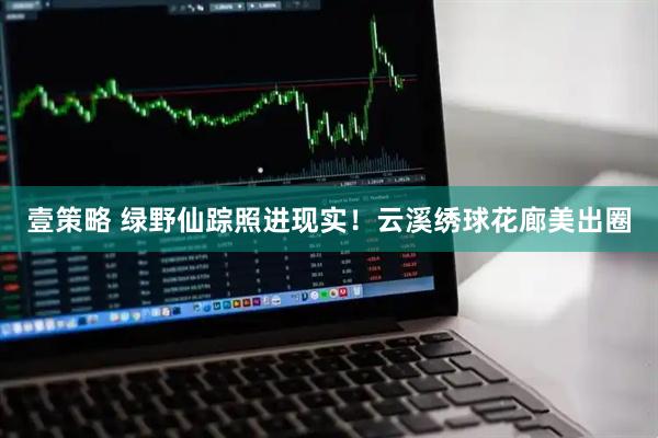 壹策略 绿野仙踪照进现实！云溪绣球花廊美出圈