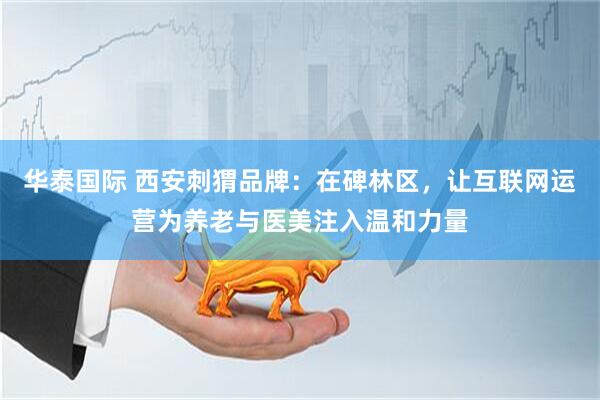 华泰国际 西安刺猬品牌：在碑林区，让互联网运营为养老与医美注入温和力量