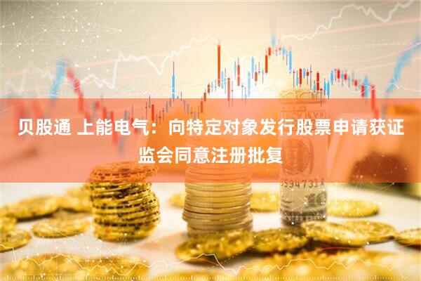 贝股通 上能电气：向特定对象发行股票申请获证监会同意注册批复