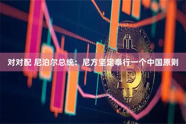 对对配 尼泊尔总统：尼方坚定奉行一个中国原则